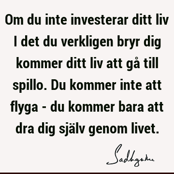 Om du inte investerar ditt liv i det du verkligen bryr dig kommer ditt liv att gå till spillo. Du kommer inte att flyga - du kommer bara att dra dig själv