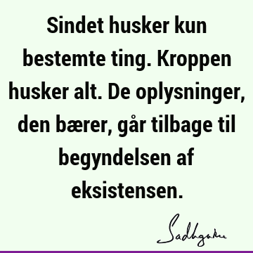 Sindet husker kun bestemte ting. Kroppen husker alt. De oplysninger, den bærer, går tilbage til begyndelsen af