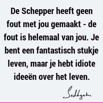 De Schepper heeft geen fout met jou gemaakt - de fout is helemaal van jou. Je bent een fantastisch stukje leven, maar je hebt idiote ideeën over het