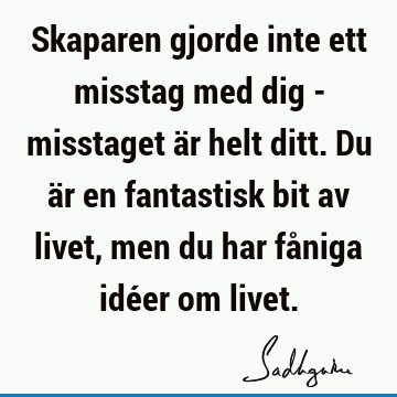 Skaparen gjorde inte ett misstag med dig - misstaget är helt ditt. Du är en fantastisk bit av livet, men du har fåniga idéer om