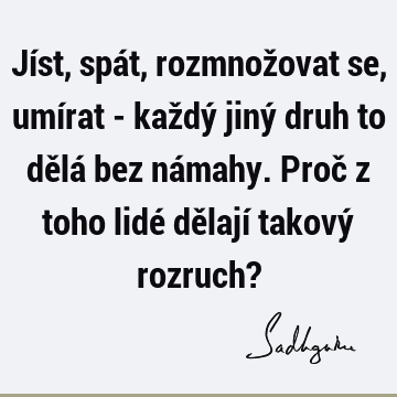 Jíst, spát, rozmnožovat se, umírat - každý jiný druh to dělá bez námahy. Proč z toho lidé dělají takový rozruch?