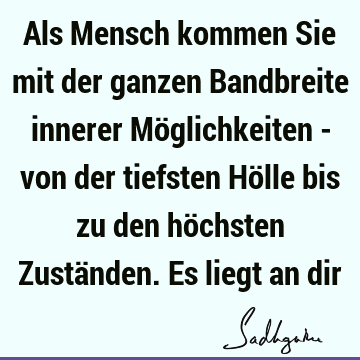 Als Mensch kommen Sie mit der ganzen Bandbreite innerer Möglichkeiten - von der tiefsten Hölle bis zu den höchsten Zuständen. Es liegt an