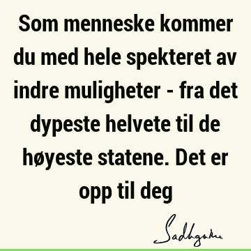 Som menneske kommer du med hele spekteret av indre muligheter - fra det dypeste helvete til de høyeste statene. Det er opp til