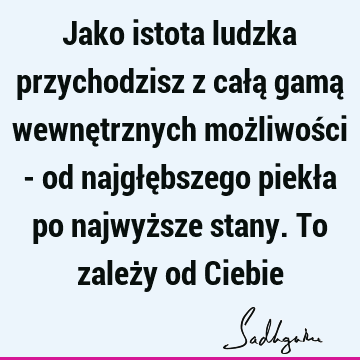 Jako istota ludzka przychodzisz z całą gamą wewnętrznych możliwości - od najgłębszego piekła po najwyższe stany. To zależy od C