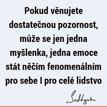 Pokud věnujete dostatečnou pozornost, může se jen jedna myšlenka, jedna emoce stát něčím fenomenálním pro sebe i pro celé