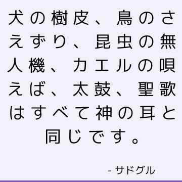 犬の樹皮、鳥のさえずり、昆虫の無人機、カエルの唄えば、太鼓、聖歌はすべて神の耳と同じです。