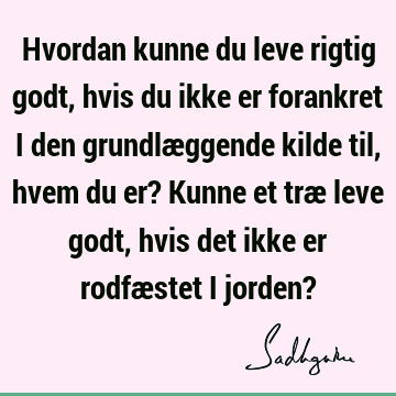 Hvordan kunne du leve rigtig godt, hvis du ikke er forankret i den grundlæggende kilde til, hvem du er? Kunne et træ leve godt, hvis det ikke er rodfæstet i