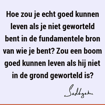 Hoe zou je echt goed kunnen leven als je niet geworteld bent in de fundamentele bron van wie je bent? Zou een boom goed kunnen leven als hij niet in de grond