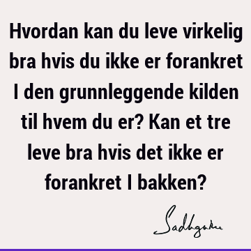 Hvordan kan du leve virkelig bra hvis du ikke er forankret i den grunnleggende kilden til hvem du er? Kan et tre leve bra hvis det ikke er forankret i bakken?