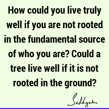 How could you live truly well if you are not rooted in the fundamental source of who you are? Could a tree live well if it is not rooted in the ground?