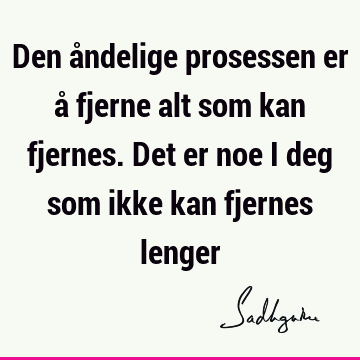 Den åndelige prosessen er å fjerne alt som kan fjernes. Det er noe i deg som ikke kan fjernes