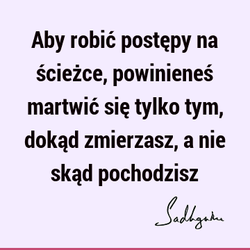 Aby robić postępy na ścieżce, powinieneś martwić się tylko tym, dokąd zmierzasz, a nie skąd