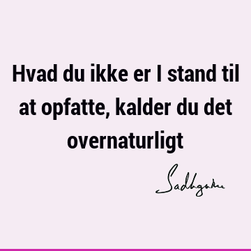 Hvad du ikke er i stand til at opfatte, kalder du det