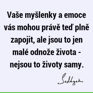 Vaše myšlenky a emoce vás mohou právě teď plně zapojit, ale jsou to jen malé odnože života - nejsou to životy