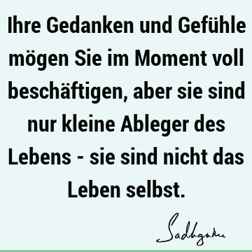 Ihre Gedanken und Gefühle mögen Sie im Moment voll beschäftigen, aber sie sind nur kleine Ableger des Lebens - sie sind nicht das Leben