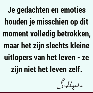 Je gedachten en emoties houden je misschien op dit moment volledig betrokken, maar het zijn slechts kleine uitlopers van het leven - ze zijn niet het leven