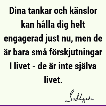 Dina tankar och känslor kan hålla dig helt engagerad just nu, men de är bara små förskjutningar i livet - de är inte själva