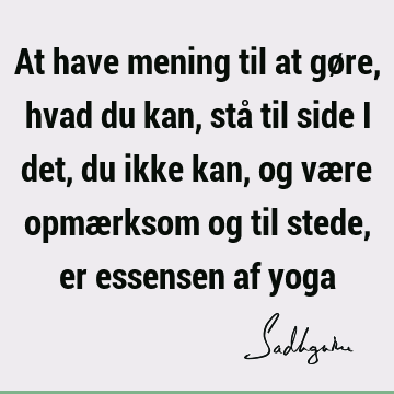 At have mening til at gøre, hvad du kan, stå til side i det, du ikke kan, og være opmærksom og til stede, er essensen af