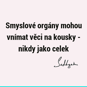 Smyslové orgány mohou vnímat věci na kousky - nikdy jako