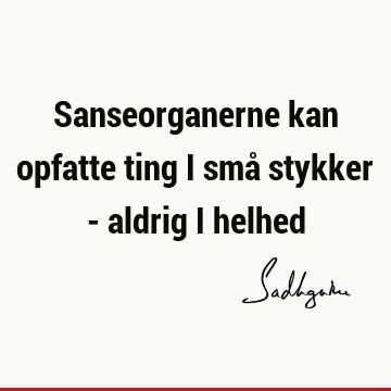 Sanseorganerne kan opfatte ting i små stykker - aldrig i