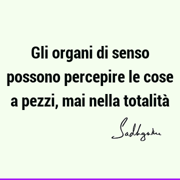 Gli organi di senso possono percepire le cose a pezzi, mai nella totalità