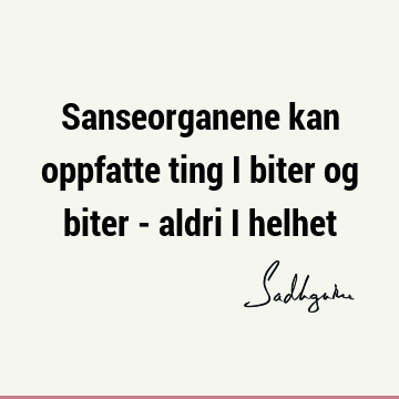 Sanseorganene kan oppfatte ting i biter og biter - aldri i