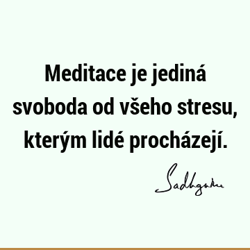 Meditace je jediná svoboda od všeho stresu, kterým lidé procházejí