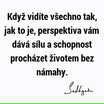 Když vidíte všechno tak, jak to je, perspektiva vám dává sílu a schopnost procházet životem bez ná