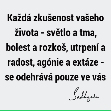 Každá zkušenost vašeho života - světlo a tma, bolest a rozkoš, utrpení a radost, agónie a extáze - se odehrává pouze ve vá