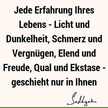 Jede Erfahrung Ihres Lebens - Licht und Dunkelheit, Schmerz und Vergnügen, Elend und Freude, Qual und Ekstase - geschieht nur in I