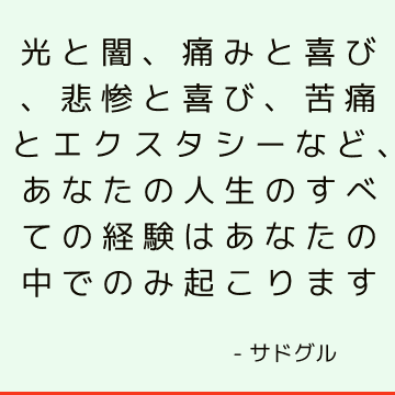 光と闇、痛みと喜び、悲惨と喜び、苦痛とエクスタシーなど、あなたの人生のすべての経験はあなたの中でのみ起こります