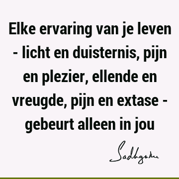 Elke ervaring van je leven - licht en duisternis, pijn en plezier, ellende en vreugde, pijn en extase - gebeurt alleen in