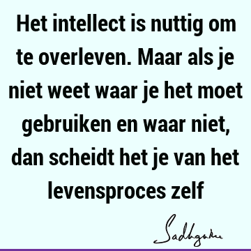 Het intellect is nuttig om te overleven. Maar als je niet weet waar je het moet gebruiken en waar niet, dan scheidt het je van het levensproces