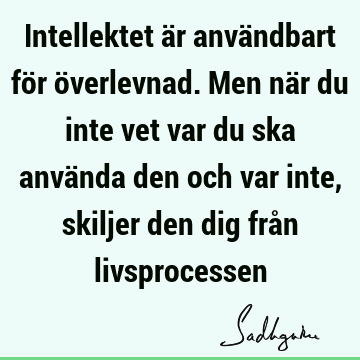 Intellektet är användbart för överlevnad. Men när du inte vet var du ska använda den och var inte, skiljer den dig från