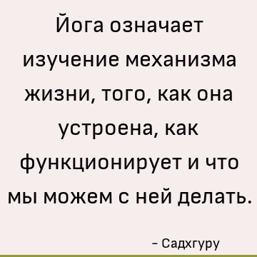 Йога означает изучение механизма жизни, того, как она устроена, как функционирует и что мы можем с ней делать