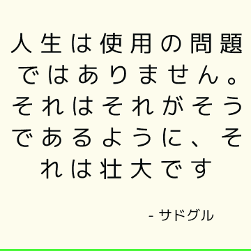 人生は使用の問題ではありません。 それはそれがそうであるように、それは壮大です