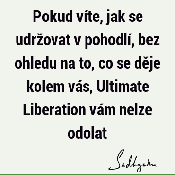 Pokud víte, jak se udržovat v pohodlí, bez ohledu na to, co se děje kolem vás, Ultimate Liberation vám nelze