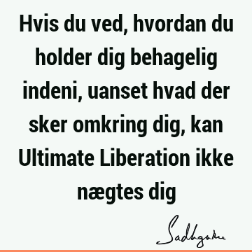 Hvis du ved, hvordan du holder dig behagelig indeni, uanset hvad der sker omkring dig, kan Ultimate Liberation ikke nægtes