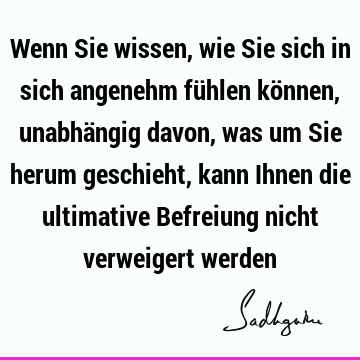 Wenn Sie wissen, wie Sie sich in sich angenehm fühlen können, unabhängig davon, was um Sie herum geschieht, kann Ihnen die ultimative Befreiung nicht