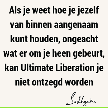 Als je weet hoe je jezelf van binnen aangenaam kunt houden, ongeacht wat er om je heen gebeurt, kan Ultimate Liberation je niet ontzegd