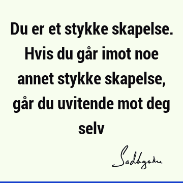 Du er et stykke skapelse. Hvis du går imot noe annet stykke skapelse, går du uvitende mot deg