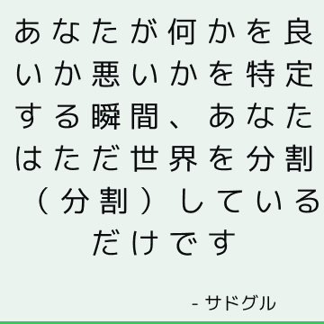 あなたが何かを良いか悪いかを特定する瞬間、あなたはただ世界を分割（分割）しているだけです