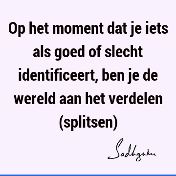 Op het moment dat je iets als goed of slecht identificeert, ben je de wereld aan het verdelen (splitsen)