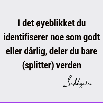 I det øyeblikket du identifiserer noe som godt eller dårlig, deler du bare (splitter)