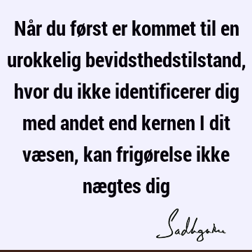 Når du først er kommet til en urokkelig bevidsthedstilstand, hvor du ikke identificerer dig med andet end kernen i dit væsen, kan frigørelse ikke nægtes