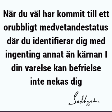 När du väl har kommit till ett orubbligt medvetandestatus där du identifierar dig med ingenting annat än kärnan i din varelse kan befrielse inte nekas