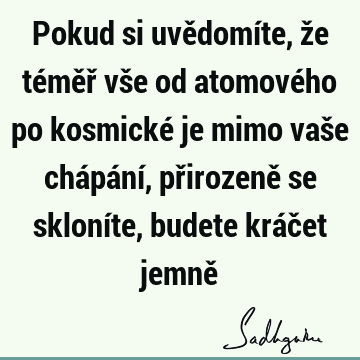 Pokud si uvědomíte, že téměř vše od atomového po kosmické je mimo vaše chápání, přirozeně se skloníte, budete kráčet jemně