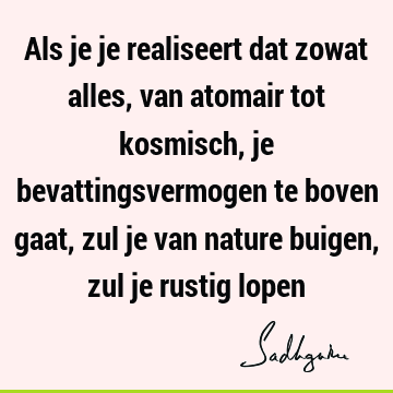 Als je je realiseert dat zowat alles, van atomair tot kosmisch, je bevattingsvermogen te boven gaat, zul je van nature buigen, zul je rustig