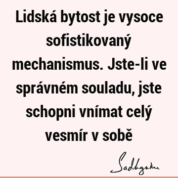 Lidská bytost je vysoce sofistikovaný mechanismus. Jste-li ve správném souladu, jste schopni vnímat celý vesmír v sobě