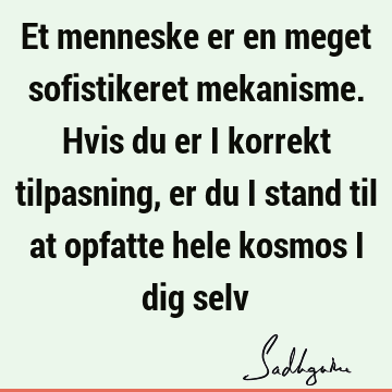 Et menneske er en meget sofistikeret mekanisme. Hvis du er i korrekt tilpasning, er du i stand til at opfatte hele kosmos i dig